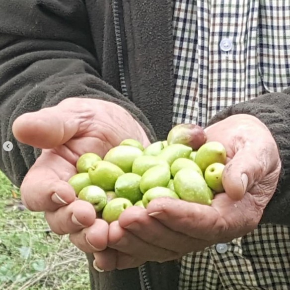 Olivenöl Parqueoliva DOP Priego de Córdoba im 3 Liter Kanister - Olivenöl - Almazaras de la Subbetica